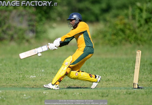 2015-05-16 Settimo Milanese - Cricket